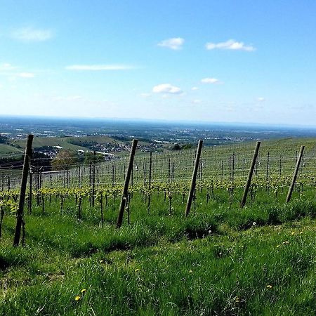 Ferienhof Vordere Alm Oberkirch  Eksteriør bilde