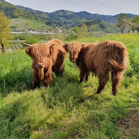 Ferienhof Vordere Alm Oberkirch  Eksteriør bilde