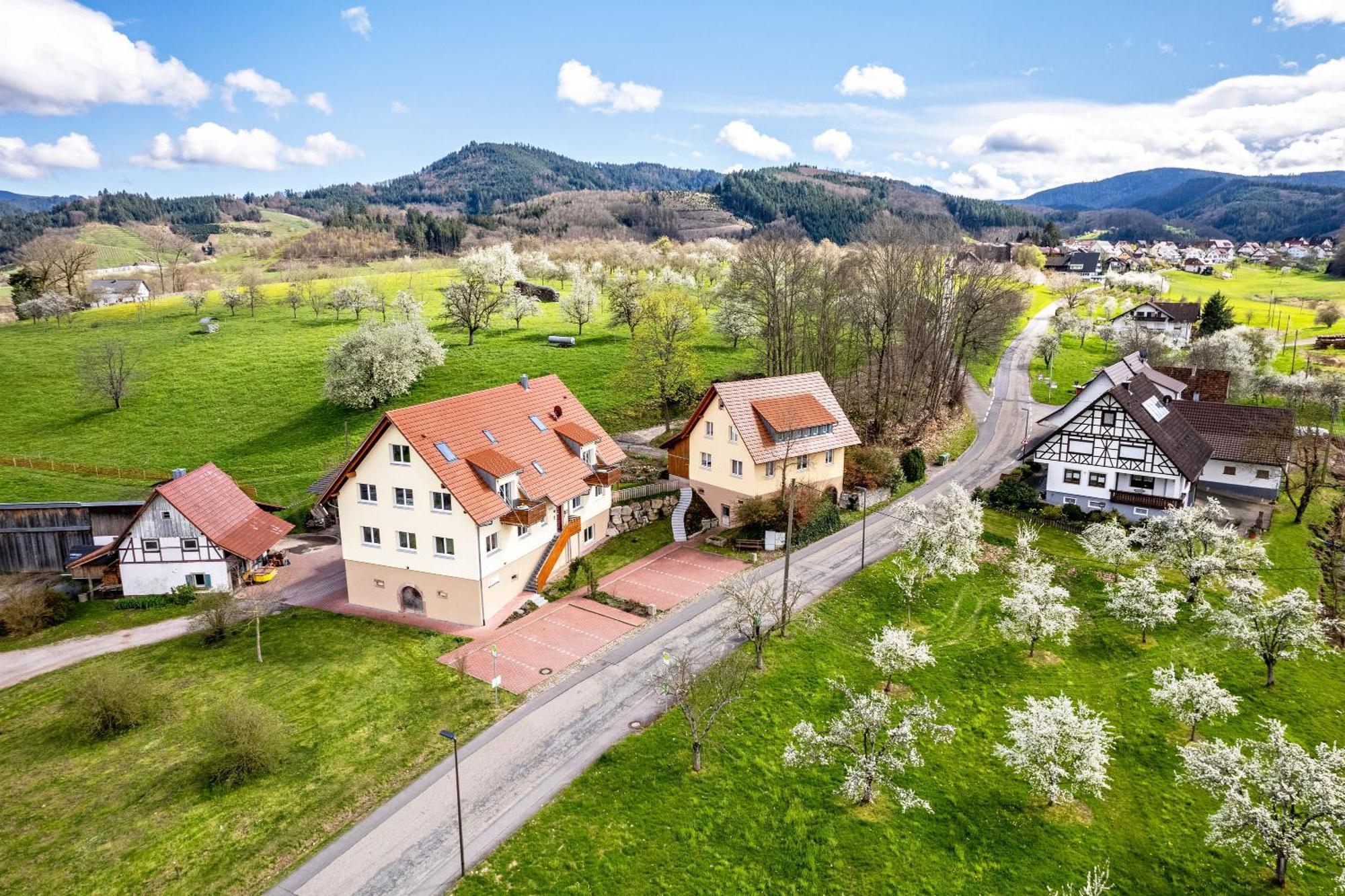 Ferienhof Vordere Alm Oberkirch  Eksteriør bilde
