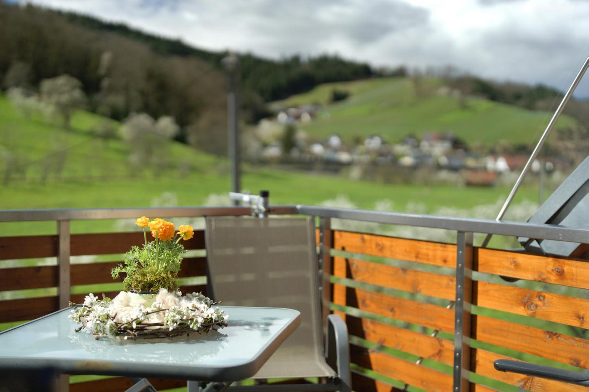 Ferienhof Vordere Alm Oberkirch  Eksteriør bilde